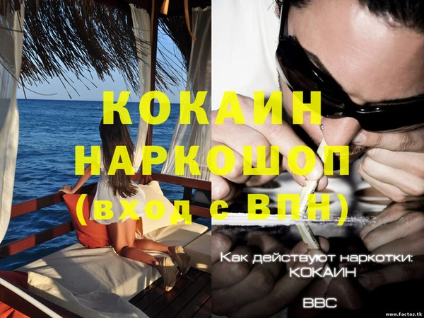 МДПВ Заводоуковск